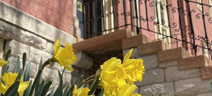 Flowers with Francis Hall in the Background